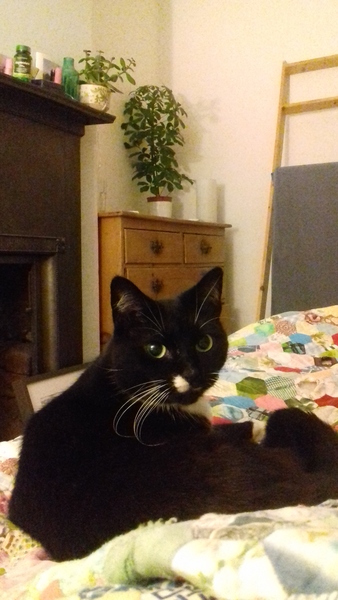 #makeithappen TTC through Donor IUI or Donor IVF or just undecided – all welcome!  Thread #6