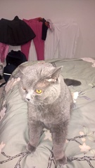 Fantabulous February with the Friendly Frugaleers!