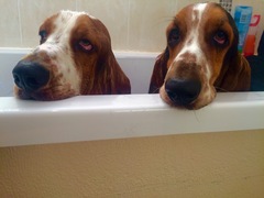 Week 4 - Spring Low Carb Bootcamp - our first month!