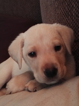 My new baby