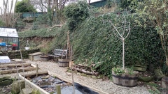 I am completely, totally, utterly, desperately FED UP WITH WINTER NOW!
