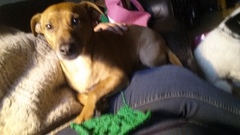 Zombie and Woolly Hugs. ALL very welcome to join us, come and find out about her legacy of Candy’s Hugs.