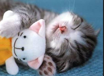 Cute baby animals!! Totally not feminist