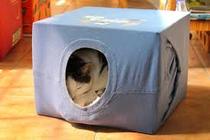 To think that cat owners that smoke don't realise how bad they smell?