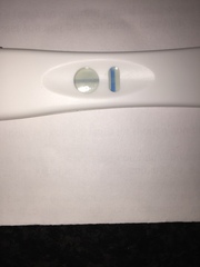 Superdrug early response tests