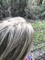 Had hair coloured yesterday and asked for this...