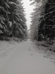 Running thread part 10