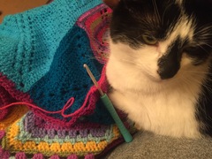 Zombie and Woolly Hugs. ALL very welcome to join us, come and find out about her legacy of Candy’s Hugs.