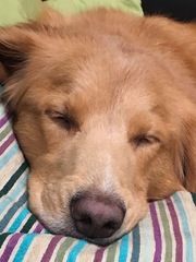 Can we cope with a lab?