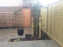 The Landscapers are here, it is better than the arrival of Santa