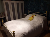 ...to see what your (master) bedroom looks like?