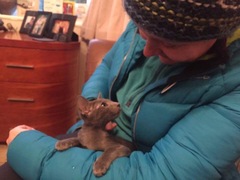 New kitten alert.....so excited