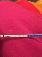 positive or negative opk test?! & advice? Please help!