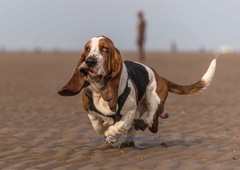 Week 4 - Spring Low Carb Bootcamp - our first month!