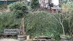 I am completely, totally, utterly, desperately FED UP WITH WINTER NOW!