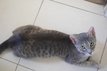 Is she pregnant? Opinions please!