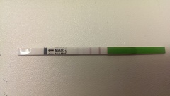 PCOS, Periods, Provera & Pals. Plus All The Bits In between.