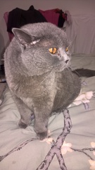 Fantabulous February with the Friendly Frugaleers!