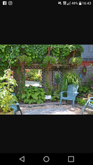 What can I do with ugly tiny paved yard?