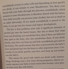 Drinking in pregnancy