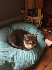 May 2017 #8....... Bumps, Bargains and Baby Clothes