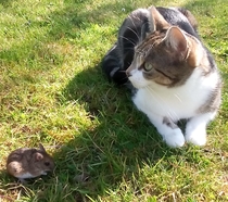 Mouse!!!!