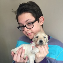 Does anyone fancy a 'puppy survival' thread?