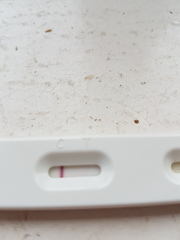Pregnacy line or evap line