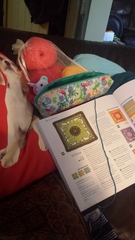 Zombie and Woolly Hugs. ALL very welcome to join us, come and find out about her legacy of Candy’s Hugs.