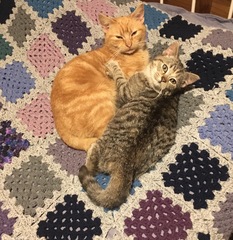 ...to see what your (master) bedroom looks like?