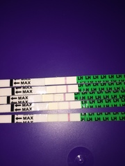 Ovulation question