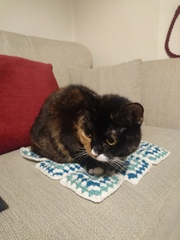 Zombie and Woolly Hugs. ALL very welcome to join us, come and find out about her legacy of Candy’s Hugs.