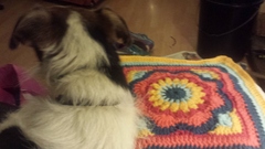 Zombie and Woolly Hugs. Please join us, newcomers very welcome. Come and find out about Candy's Hugs.