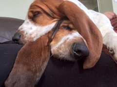 Week 4 - Spring Low Carb Bootcamp - our first month!