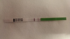 PCOS, Periods, Provera & Pals. Plus All The Bits In between.
