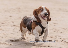 Week 4 - Spring Low Carb Bootcamp - our first month!