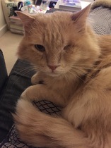 Hand hold please - worried about my boy