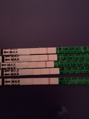 Ovulation question