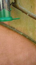 Can you tell me your can't do without cleaning products/ tools?