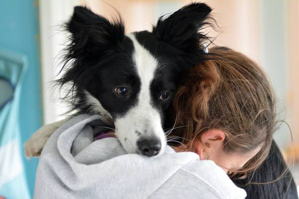 Has anybody had a good experience with a rescue dog?