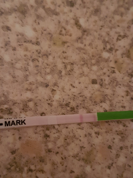 Bfp