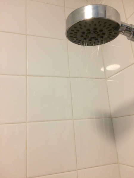 How much for a shower to be installed?