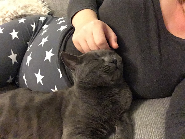 May 2017 #9 3rd trimester!