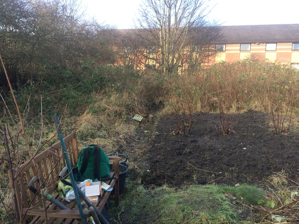 Allotment/Veg Patch - Thread 7 - The Harvesters Arms