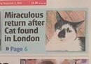 Tell Bought By Many Pet Insurance about your pets’ biggest mishaps - £300 voucher to be won NOW CLOSED