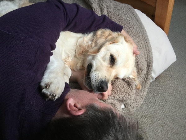 Does anyone fancy a 'puppy survival' thread?