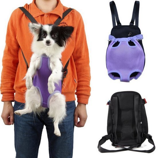 dog in sling