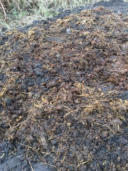 Allotment/Veg Patch - Thread 7 - The Harvesters Arms