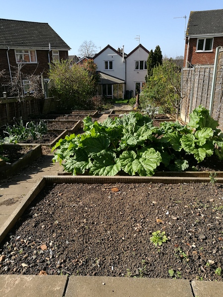 Allotment/Veg Patch -Thread  8 - Its spring - time to get busy!