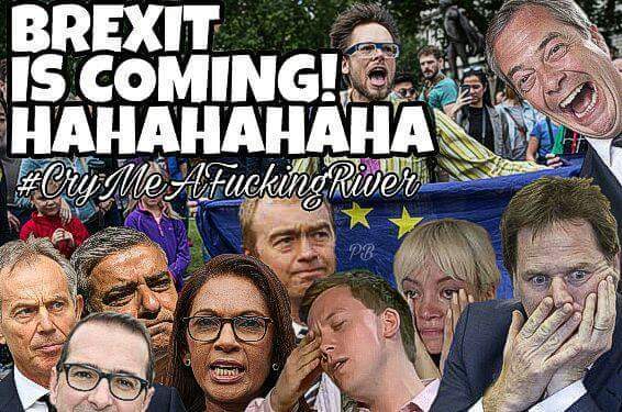 Brexit Arms special  - the fingers on the trigger!